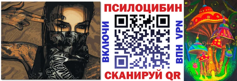 Галлюциногенные грибы Psilocybe  Горячеводский 